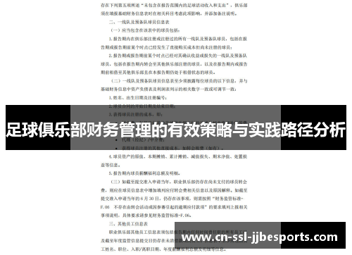 足球俱乐部财务管理的有效策略与实践路径分析