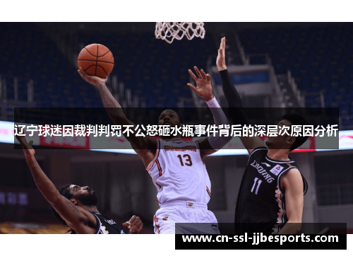 辽宁球迷因裁判判罚不公怒砸水瓶事件背后的深层次原因分析