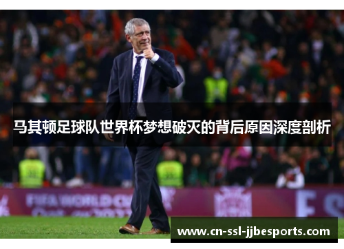 马其顿足球队世界杯梦想破灭的背后原因深度剖析